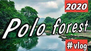 Polo Forest Vlog 2020 | TourCam 