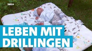 Eineiige Drillinge stellen das Leben von Familie Sommer auf den Kopf