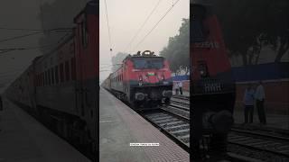 30 glorious of Wap4 locomotive livery loco hauling 12333 Vibhuti express  #wap4 #beautiful #livery