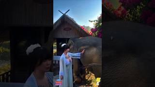 Epic Bigfail Hits #shorts #funny #fails