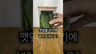 채소 싱싱하게 보관하는 법, 깻잎부터 방울토마토까지!
