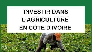 INVESTIR DANS LE BUSINESS DE L'AGRICULTURE EN CÔTE D'IVOIRE