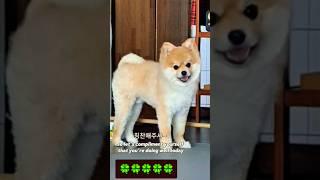 이짜나~~