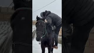 16 февраля 2025 г.