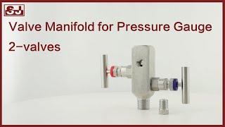 PRA-VS | Valve Manifold for Pressure Gauge, 2-valves