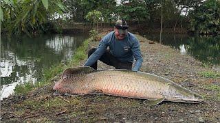 Prehistoric Arapaima (Catch, Clean, and Cook) Part 2