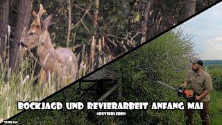 Bockjagd und Revierarbeit Anfang Mai / RevierLeben // Vlog 64