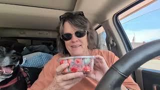 Adventure Day - Mexican Food and Geocaching