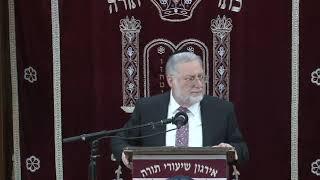 Is Common Sense Kosher? - Rabbi Mordechai Becher Shlita