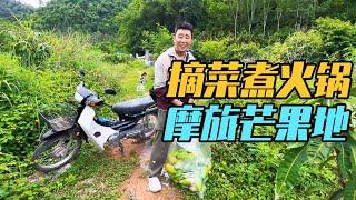 云海露营煮火锅，喜提摩托摘芒果【家和远方的旅行】