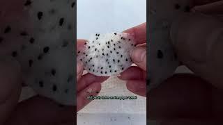 I figured out a new way to extract dragonfruit seeds to easily grow them! It works!