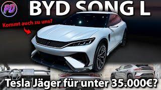 BYD SONG L - Tesla Jäger für unter 35.000€?