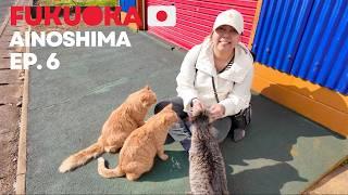 One Day Trip to Ainoshima Cat Island (Fukuoka) Japan  | IAUAN