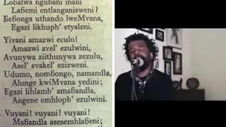 Mandisi Dyatyis- Bonani! bonani!