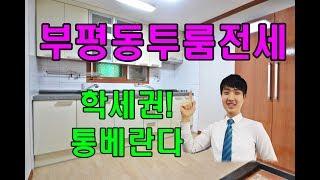 부평시장역! 초역세권! 통베란다구조 부평투룸전세~! 바로입주 가능! 빌라프린스-10924 [정과장과 함께해요]