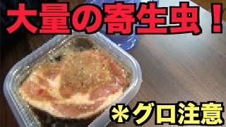 【グロ注意】生の豚肉をコーラに2時間漬けると寄生虫が出てくるって本当！？【たいぽん】
