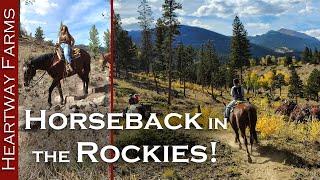 DREAM come TRUE! Horseback riding in Estes Park, Rocky Mountains!