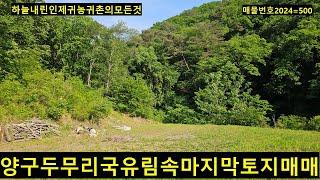 양구군 국토정중앙면 두무리 국유림속 마지막토지 매매