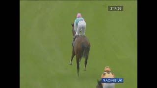 2011 Sussex Stakes 萨塞克斯锦标 - 范高尔 (Frankel) (UP主解说)