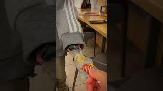 哈哈哈我也有哈哈哈（？沒錯我就是那個傳說中用模板還在自己剪一次的人所以有兩個水印(;´༎ຶД༎ຶ`) #望火 @透寶