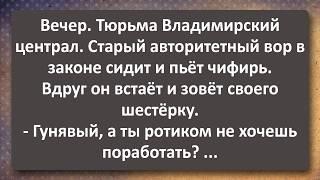 Анжела 35 лет в Постели с Чукчей и Старый Авторитет! Сборник Самых Свежих Анекдотов!