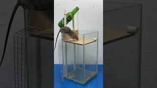 5 best homemade mouse trap ideas in 2024 // Mouse trap 2 #rattrap #rat #mousetrap #shorts