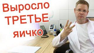 Выросло третье яичко / Доктор Черепанов