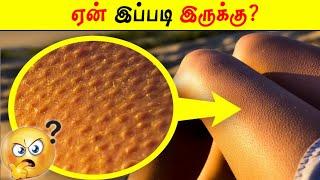 ஏன் இப்படி இருக்கு?  | Facts in Tamil_Facts in Minutes_Minutes Mystery_Info Bytes  #Shorts