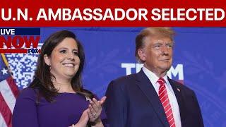 BREAKING: Trump picks Elise Stefanik as UN ambassador LiveNOW from FOX