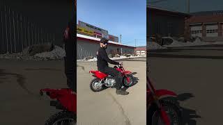 2023 Honda CRF 50 Sound Test / What Do YOU Ride?!? / MAX'S MOTO SHOP