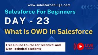 What Is OWD In Salesforce | salesforce security | salesforce bulge