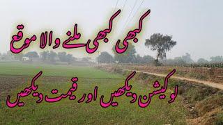 زرعی زمین بمعہ گھر فارمنگ برائے فروخت Agricultural land with house farming for sale #viralvideo