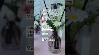  디퓨저 스틱 가이드 