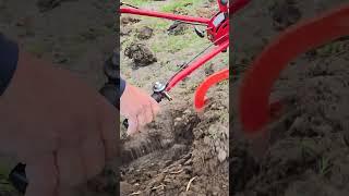 Пахарь на МТЗ #агротехнологии #agriculture