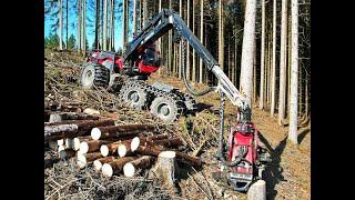 *BIG TREES* • Heavy Komatsu • Komatsu 951 & C164 • HarvesterAction • Forst Stöppler • Fast working