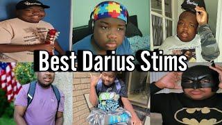 All of King Darius stims