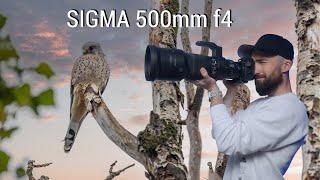 Deplatziert teure Wildlife Objektive? SIGMA 500mm f4 (erster Eindruck)