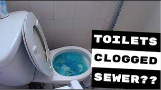 TWO CLOGGED TOILETS POSSIBLE MAIN SEWER CLOG