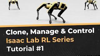 Interactive Scene - Isaac Lab Tutorial 1 (Reinforcement Learning)