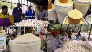 THE BIGGEST GARI FACTORY IN CENTRAL REGION OWNED BY THE CHURCH OF PENTECOST MEMBER - ELDER MENDS