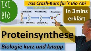 Proteinbiosynthese in 3 Minuten erklärt (Transkription Translation) Biologie kurz und knapp