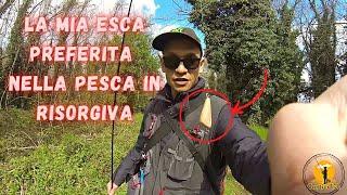 La mia esca MIGLIORE per la pesca nei fossi