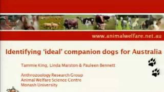 Building Better Dogs - Tammie King (1 of 2)