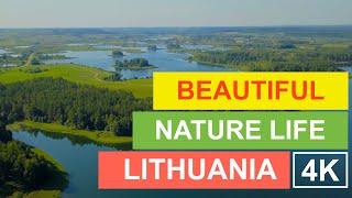 Nature of Central Lithuania Drone Footage 4k | | Lithuania 4k Drone | Lithuania Drone View 4k