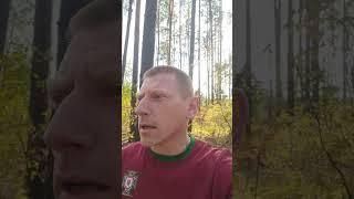 Забытые истины