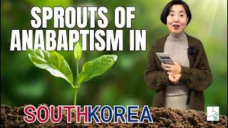 Seek Peace and Pursue It  Sprouts of Anabaptism in S. Korea