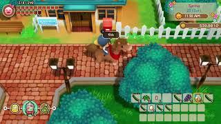 Story of Seasons - Friends of Mineral Town -  Tambang Teruuus #hifamgamer