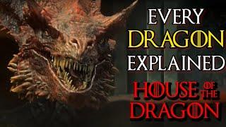 Every (20) Ferocious Dragons That Will Appear In House Of Dragons Series - Backstories Explored