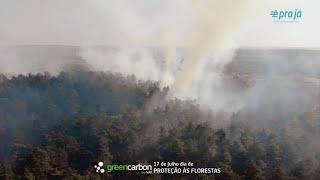 É PRA JÁ | Proteja as Florestas