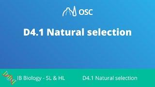 D4.1 Natural Selection [IB Biology SL/HL]